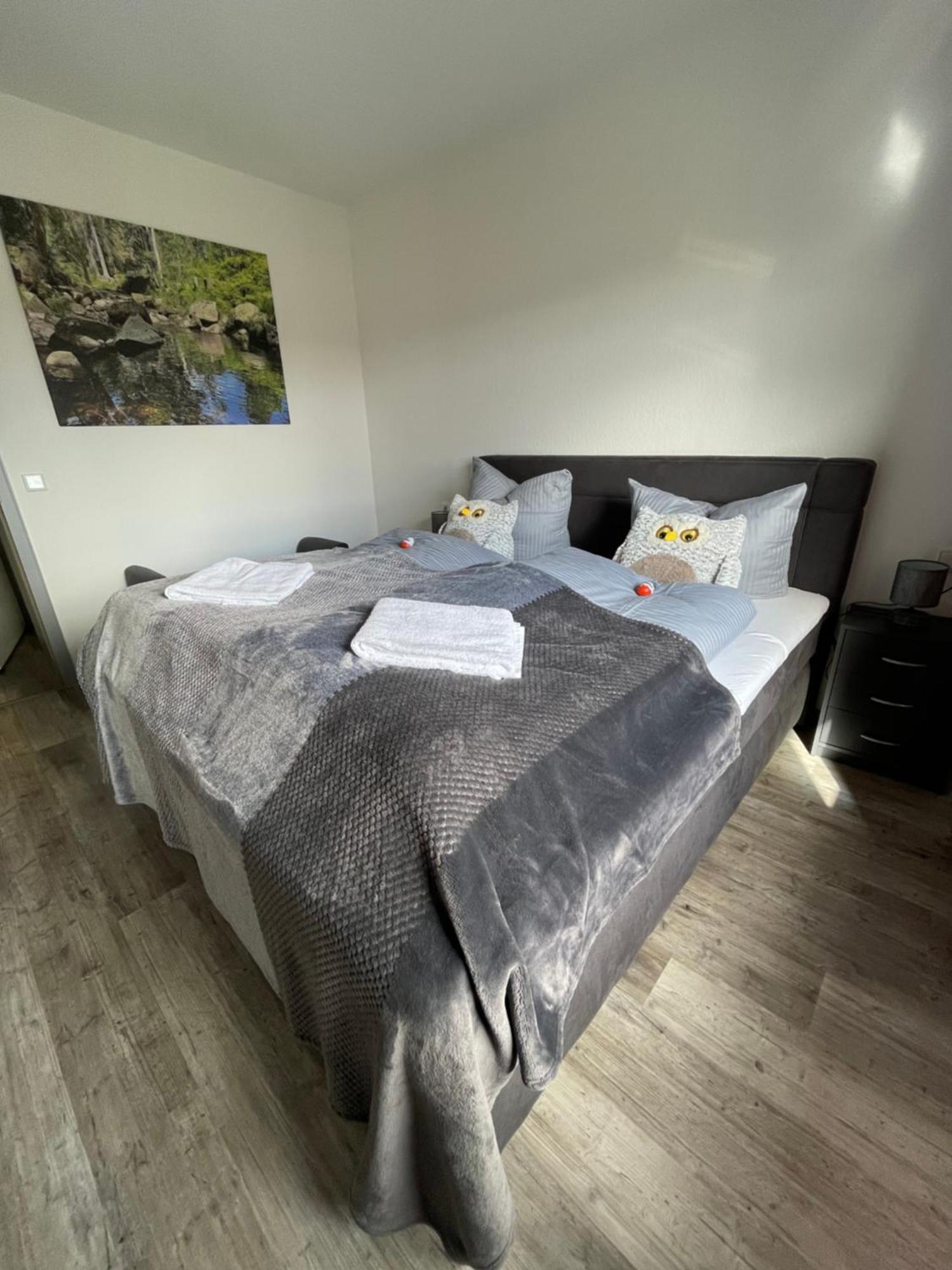 Harzer Traum - Renoviert, Inklusive Waesche Und Wlan Apartment Braunlage Exterior photo